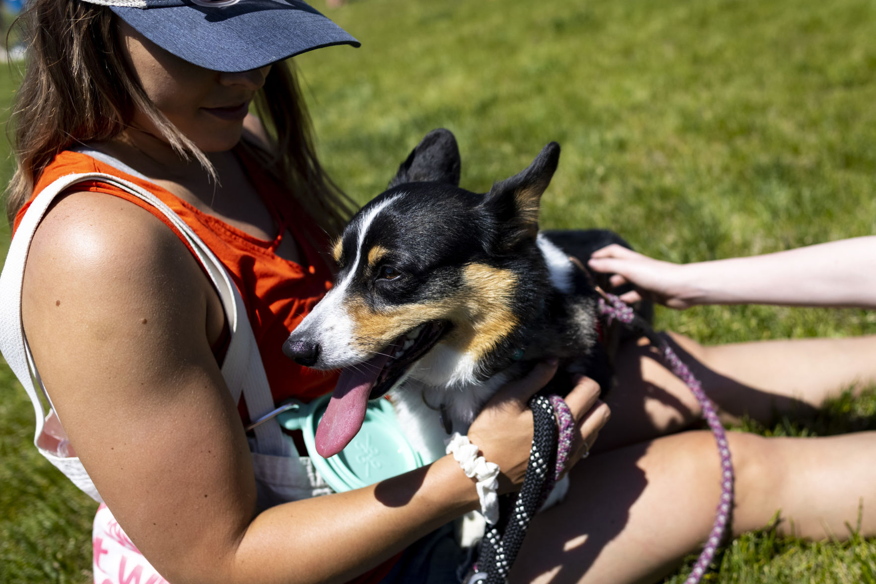 Centennial Dog Park